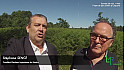 Stéphane SENCE 2022 candidat pour la Ruralité : Projet de parc éolien en Médoc