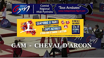 GAM Cheval d'Arçon au Championnat de France Intercomités à Ponts de Cé (49) #midipyrénées @ffgymnastique #TvLocale_fr