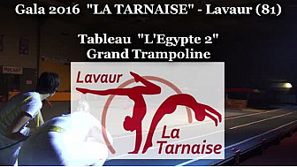 Gymnastique Gala 2016