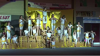 Gymnastique Gala 2016