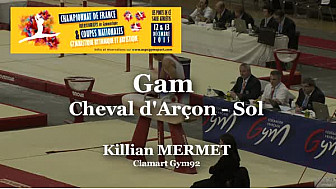 GAM Sol : Killiam MERMET au Championnat National Séniors de Ponts de Cé  @ffgymnastique #TvLocale_fr #coupenat2015