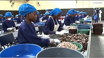 Film documentaire : Potentiels et Opportunités de la région du Gbèkê