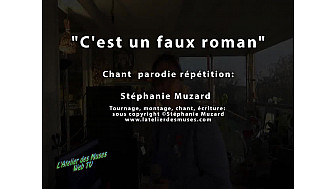 C'est un faux roman' vidéoparodie de Stéphanie Muzard