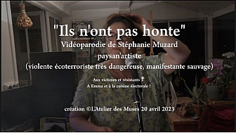 'Ils n'ont pas honte' vidéoparodie de Stéphanie Muzard