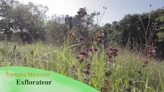 Rétrospective des expositions 2018 de l'Exflorateur François Maurisse avec ses