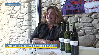 Acteurs-Locaux Tv Locale Corse - Découverte du patrimoine viticole de Corse