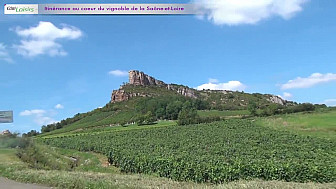 Acteurs-locaux-Sâone-et-Loire -  Entre Mâconnais et Côte Chalonnaise : L'âme du vin bourguignon