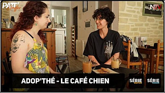 TV Locale Nantes - Le café chien chez Adop’thé – 