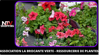 TV Locale Nantes - Association la Brocante Verte - ressourcerie de plantes
