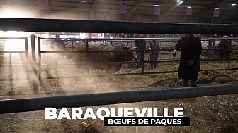 TV Locale Aveyron - Baraqueville - Boeuf de Pâques 2023