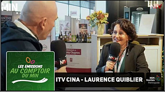 TV Locale Nantes - Laurence Quiblier est en charge de la commercialisation des locaux commerciaux et pieds d’immeubles dans la Métropole nantaise.