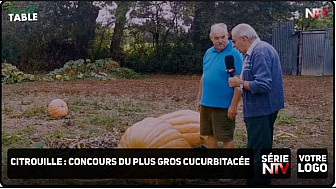 TV Locale Nantes - concours du plus gros cucurbitacée 