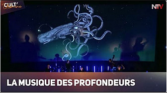 Acteurs-Locaux sur TV Locale Nantes -  Découvrez 'La Musique Des Profondeurs' avec Vincent Rousselot du groupe DOUCHA