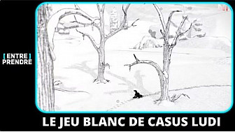 TV Locale Nantes - Le jeu Blanc de Casus Ludi
