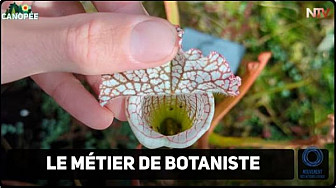 TV Locale Nantes - A la découverte du métier de Botaniste