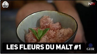 TV Locale Nantes - pour les amateurs de Bières 'Les Fleurs du Malt #1'