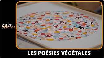 TV Locale Nantes - Les Poésies végétales