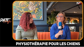 Physiothérapie pour les chiens sur Tv Locale Nantes