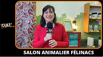 TV Locale Nantes - Salon Animalier Félinacs