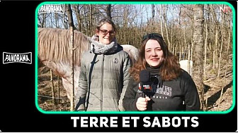 Acteurs Locaux  sur TV Locale Loire-Atlantique - Terre et Sabots est un média en ligne