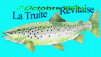 Continuité Ecologique d'un petit ruisseau