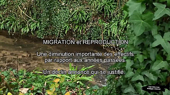 MIGRATION et REPRODUCTION Partie 1