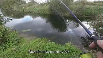 Ouverture carnassier 2025