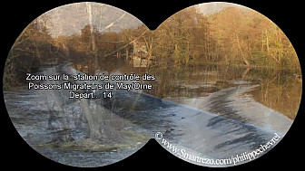 Observatoire piscicole de May/Orne Feuguerolles Bully. CALVADOS