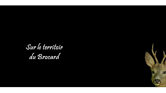 SUR LE TERRITOIRE DU BROCARD.