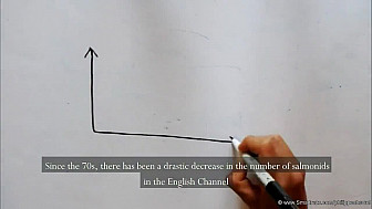 Le Projet Franco-Britannique SAMARCH