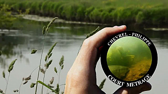 Balade Printaniére en Zone Estuarienne