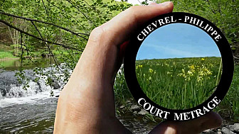 Le Réveil de la Nature nous invite au voyage de la Réflexion