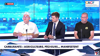 TvLocale Paris de 'Réveils des Terroirs' - Passage sur Cnews de David FEVRE président du Collectif des Artisans et Commerçant Français