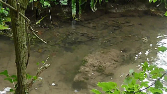 Acteurs Locaux Calvados - Diagnostic du milieu aquatique de la MUE 23 sept. 2026 (CALVADOS)