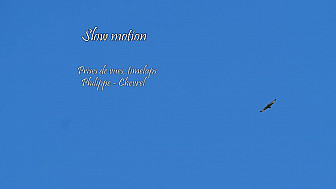SLOW MOTION