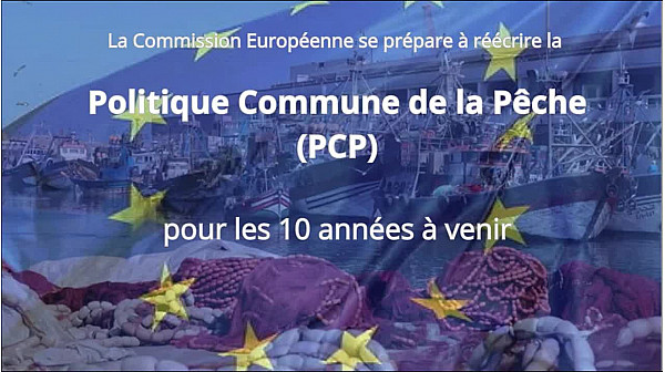TV Locale de ''Réveils des Terroirs'' - Participez à la Consultation de l'Europe pour la Politique C