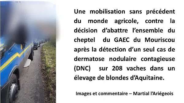 Ariège - Gaec Mouriscou - Mobilisation du monde agricole contre la décision d'abattre un cheptel Ã