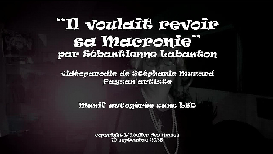 'Il voulait revoir sa macronie' vidéoparodie Stéphanie Muzard