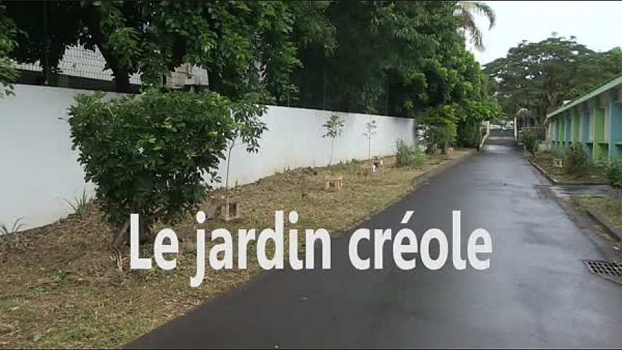 Jeunes Reporter CINOR - Je plante, tu plantes, nous protégeons ! – CM2 Ecole Bouvet B - Saint-Denis