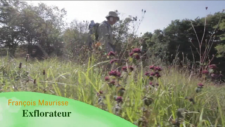 Rétrospective des expositions 2018 de l'Exflorateur François Maurisse avec ses
