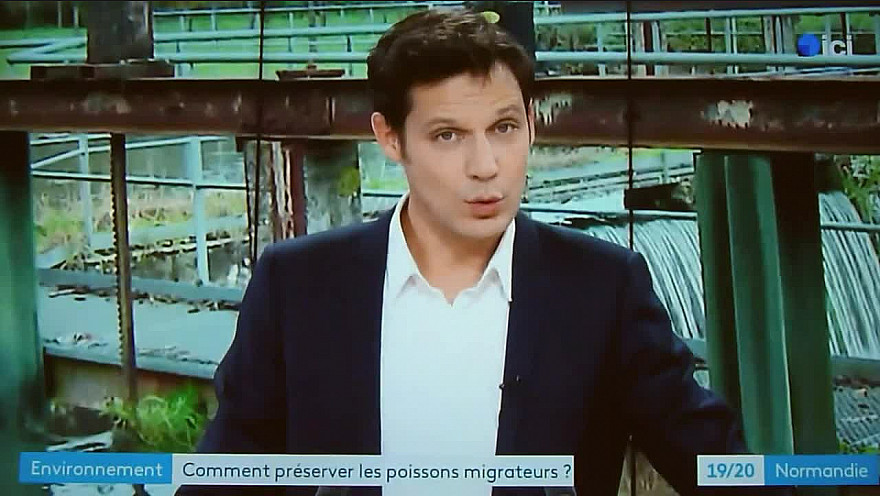 MIGRATION et REPRODUCTION Partie 2