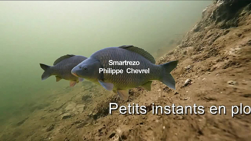 OCTOBRE 2024 Plongée en apnée