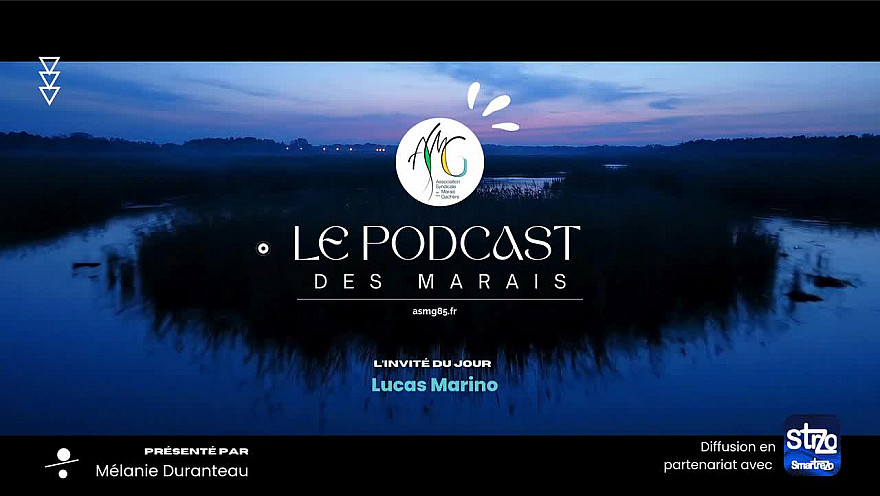 Le Podcast des Marais : Lucas Marino, un jeune propriétaire de marais du Pays d’Olonne engagé pour la transmission et la préservation des Marais de Vendée